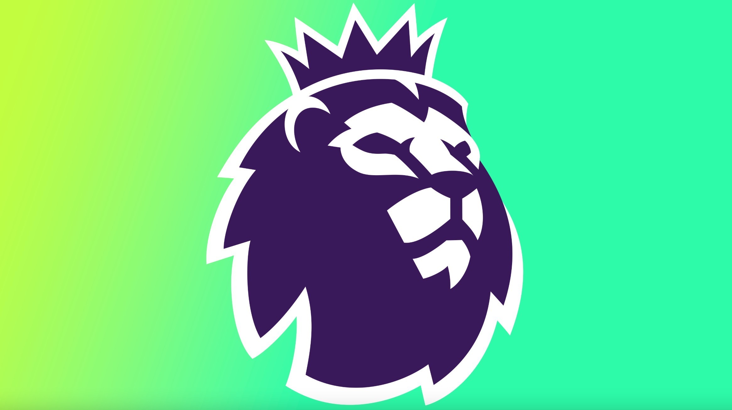 就是东契奇 就是东契奇